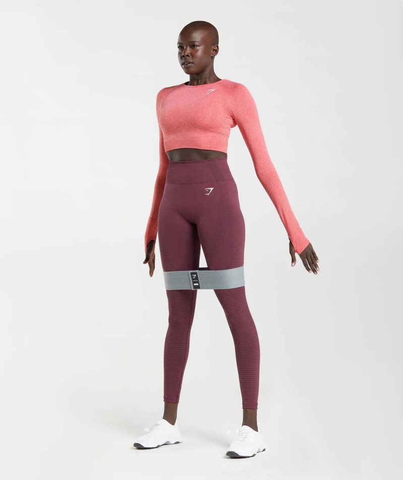 Women's Gymshark Vital Seamless 2.0 Cropped Tops Pink | CA 153AND